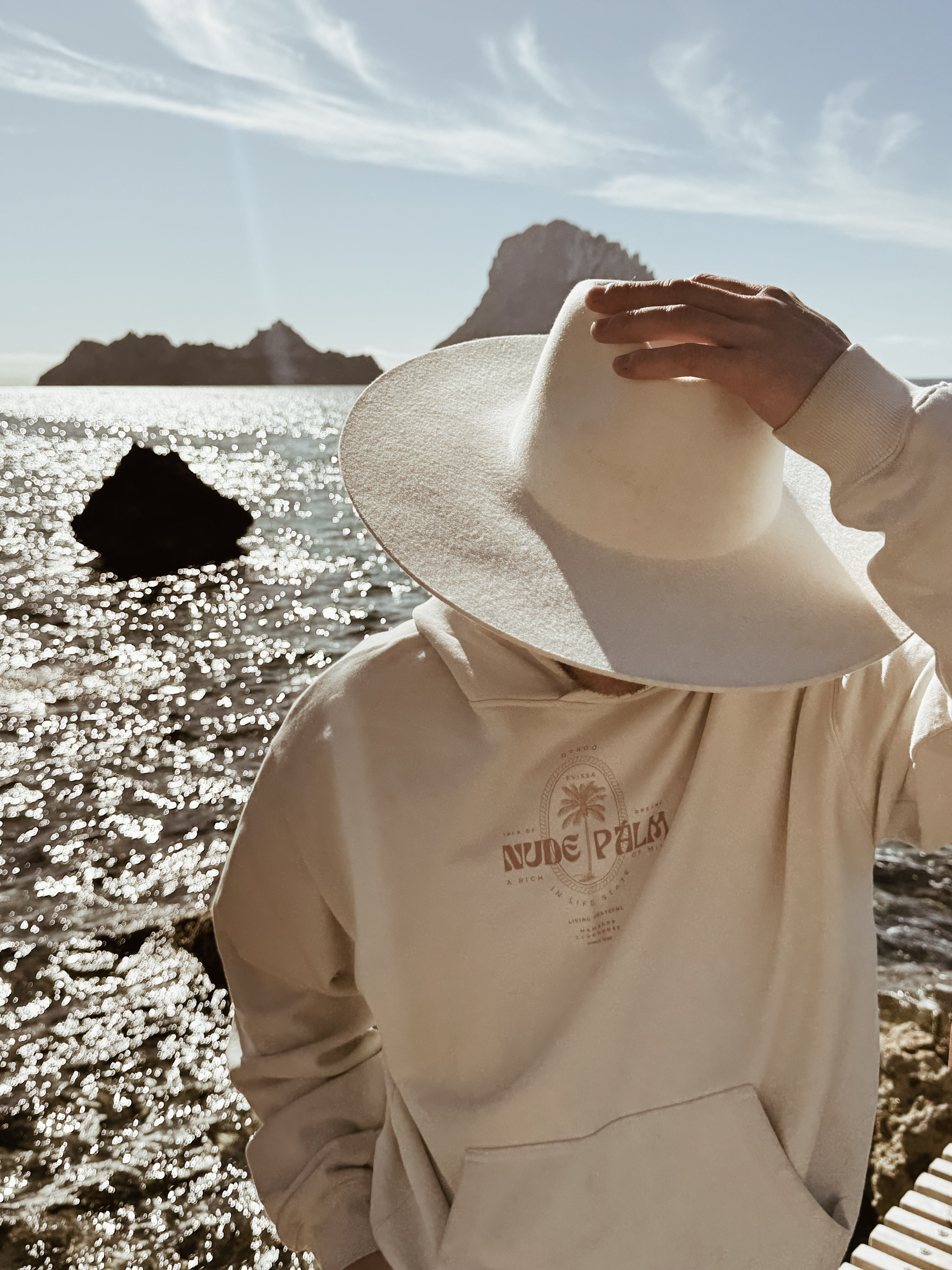 HOODIE - The rich life pull over